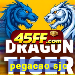 pegacao sjc